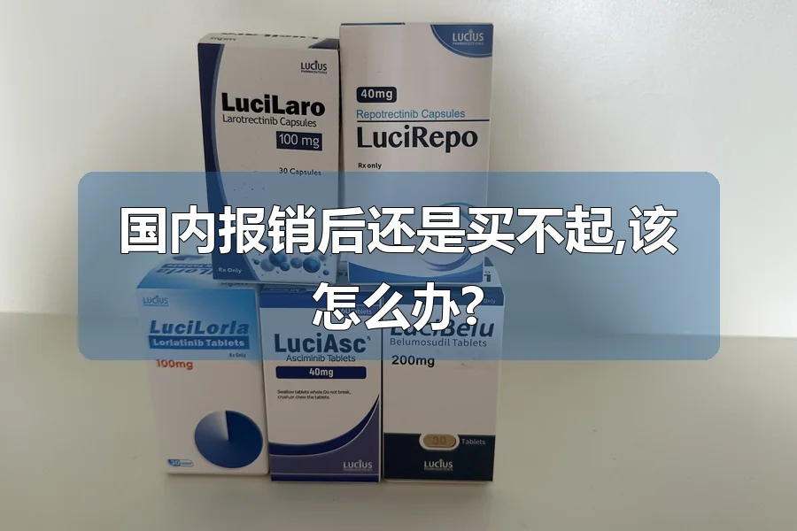 国内报销后还是买不起,该怎么办?